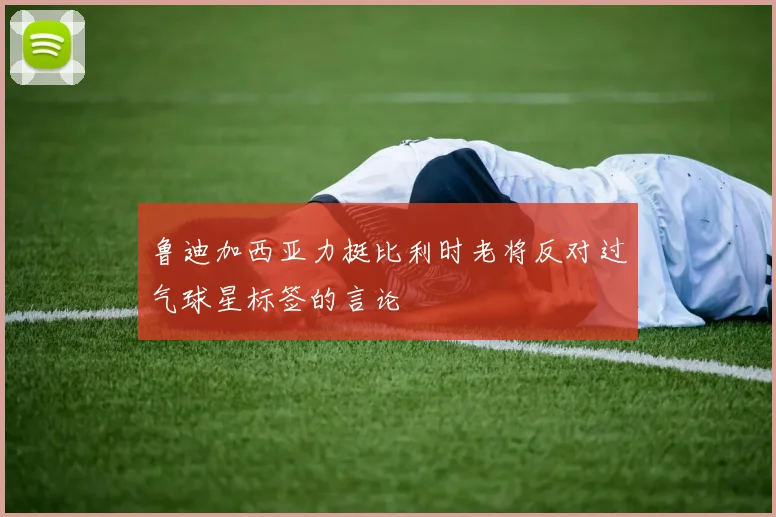 鲁迪加西亚力挺比利时老将反对过气球星标签的言论