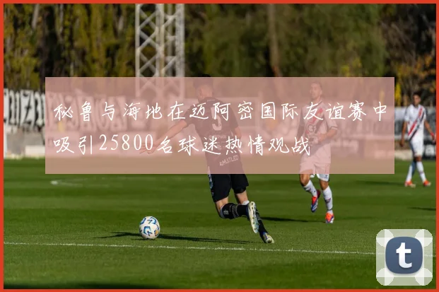 秘鲁与海地在迈阿密国际友谊赛中吸引25800名球迷热情观战